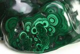 Banded Polished Malachite Specimen - DR Congo #273922-2